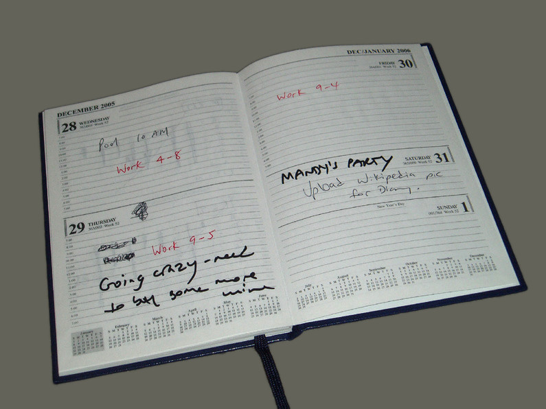 An appointment diary with hourly lines